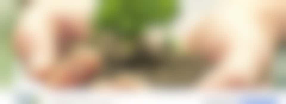 Flexibele Social Media Marketeer