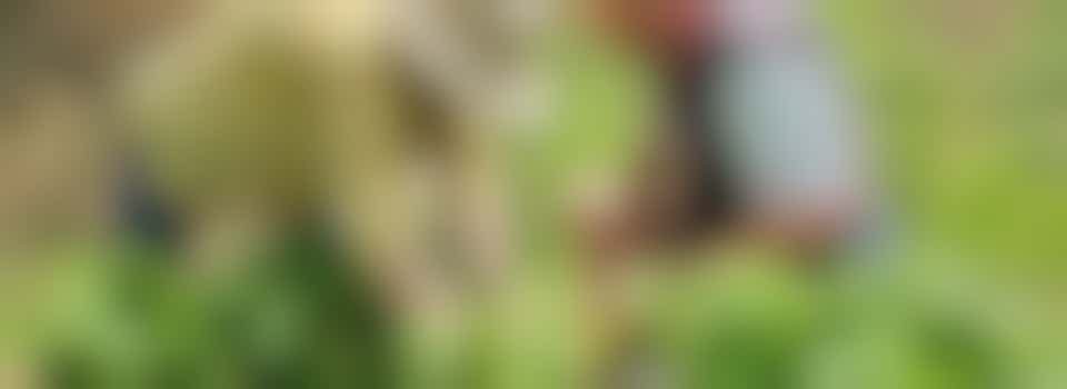 Caring Volunteer to assist staff at our Growing Ability Project