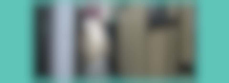 Environment Champions at Great Yarmouth Green Team - GY Civic Society