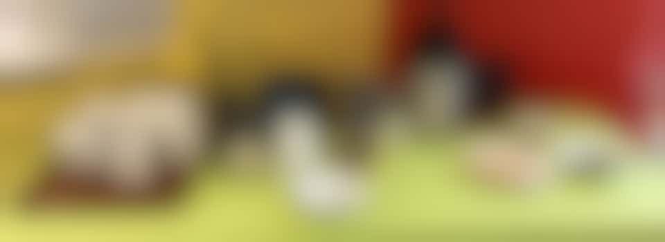 Café volunteer - Kitchen help