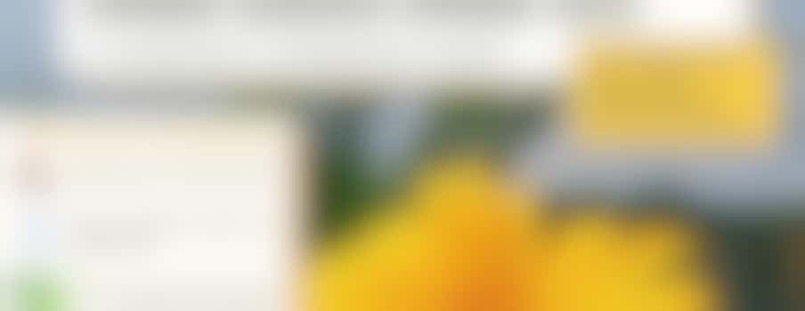 Education for Climate Action for Peace (E4CAP) - JAN 2024 - SESSION 1