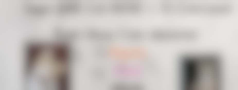 Stray Cat TNR Phase 1