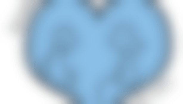 Baby and Toddler group hosts.