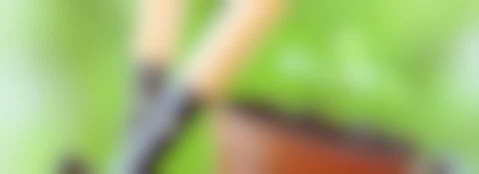 đź’š Groene vingers en graag buiten? Lees dan snel verder!