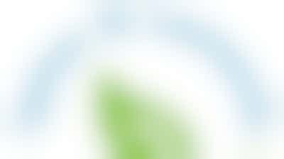 Reading with Primary School Children