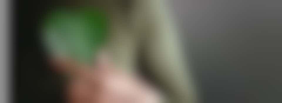 Vacature online beeldredacteur duurzaamheid