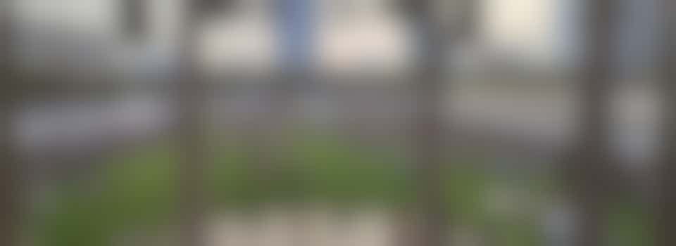 Digital Marketing Specialist