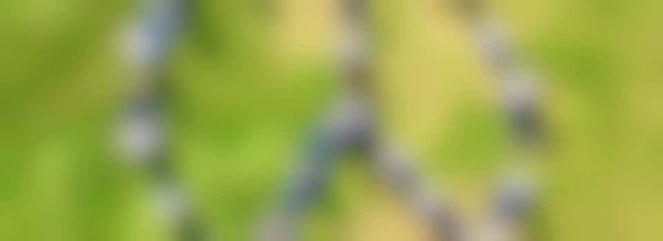 Volunteer opportunity World International Peace Day 2023 - September 21st 2023