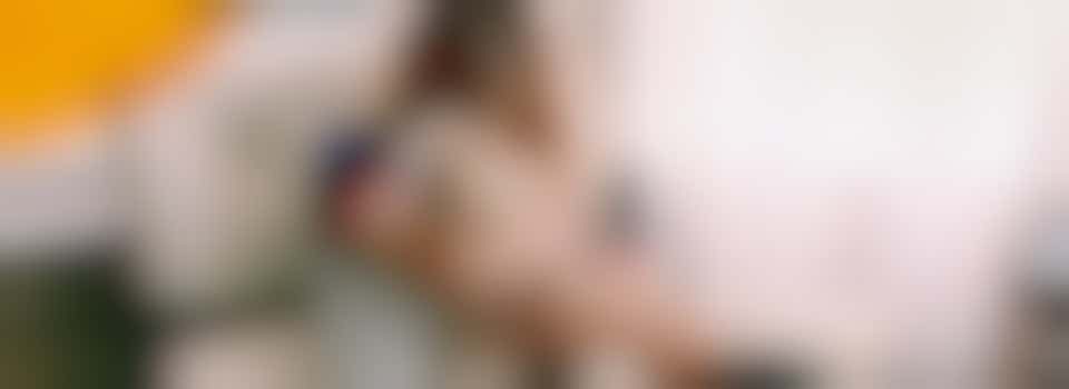 Foster parents wanted for dogs and cats