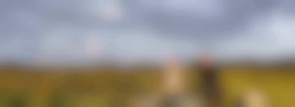 Volunteer Leader Role