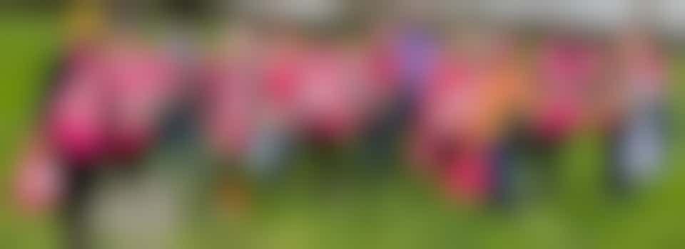 Placement Support Volunteer