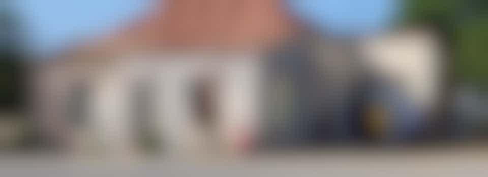 Help us Give Back Color to Savaneta!