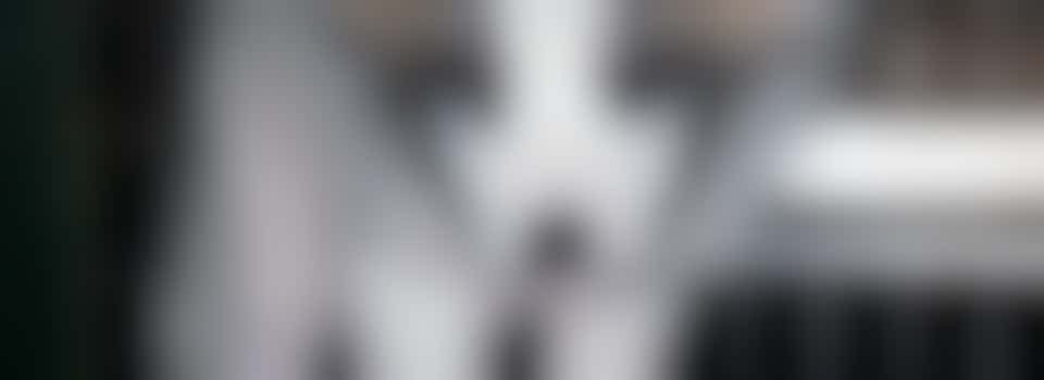 Hulp bij Fur Free Friday