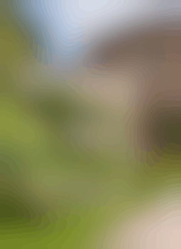 Courtesy Vehicle Driver