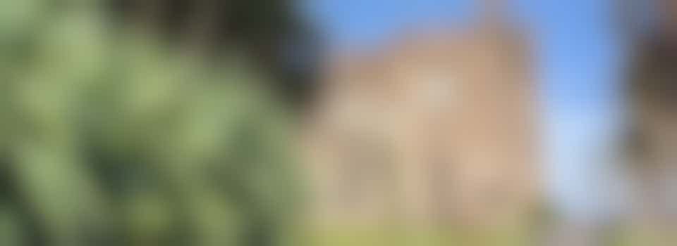 Garden and Parklands Volunteer