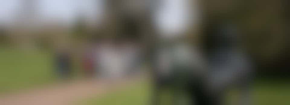 Volunteer Guide at Henry Moore Studios & Gardens