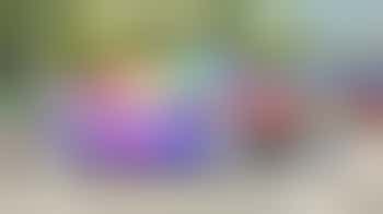 Programme Coordinator