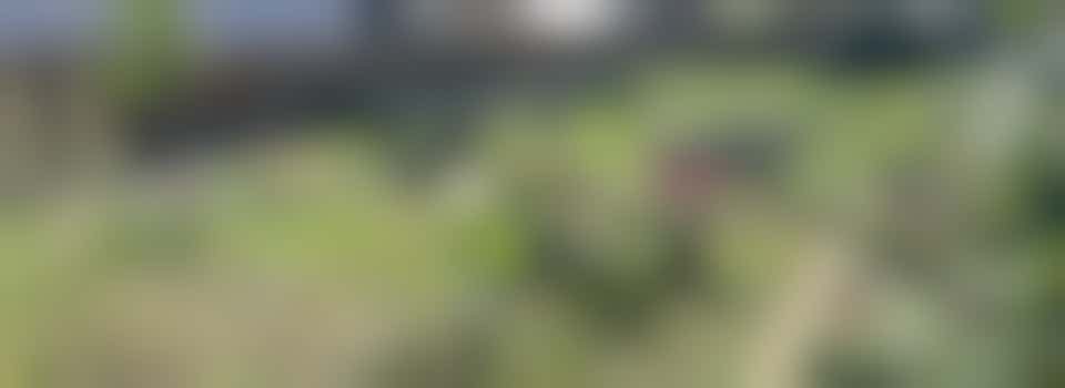 Volunteer Team Leader Community Gardeners