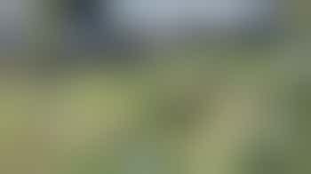 Volunteer Team Leader Community Gardeners