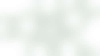 Mentor and Befriender