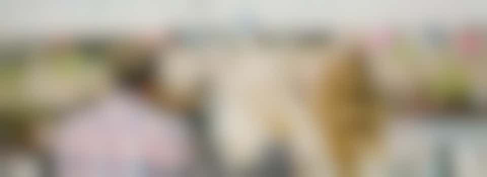 St Martins Fest 2024