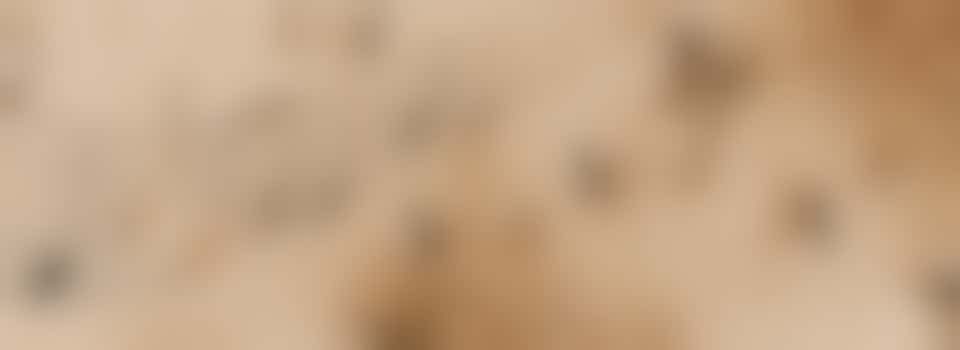 Breng muziek en herinneringen tot leven!