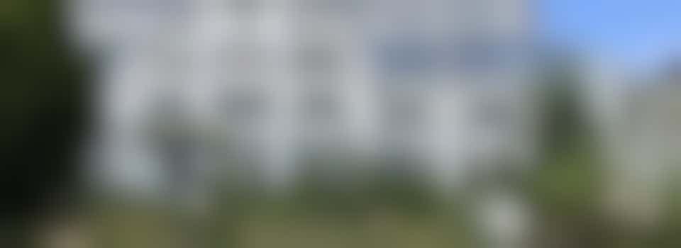 Carrow House Garden Tidy Weekend