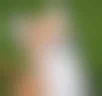 Wie wil er wandelen met een klein hondje. frequentie is in overleg