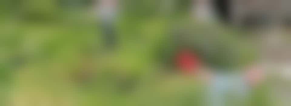 Fox Den Community Allotment Volunteer