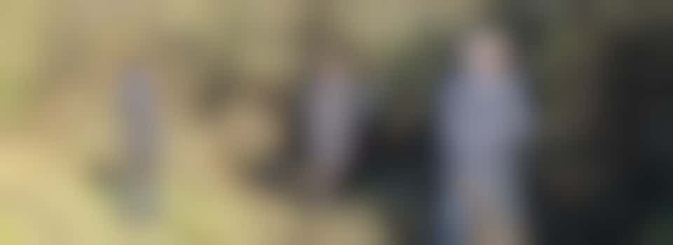 Conservation on Coldham's Brook