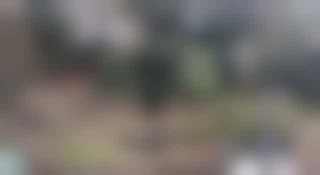 Zelfstandige tuinhulp gezocht voor groepswoning Sherpa, 1 x per maand