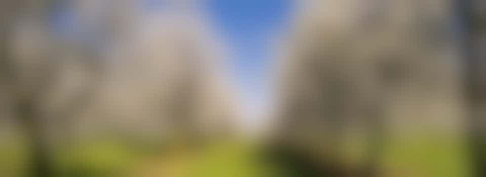 Laat jij als vrijwilliger onze moestuin groeien?