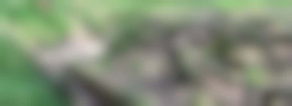 Fietsroutecontroleur: Ijzeroer en oorlog in het Bergherbos kinderroute