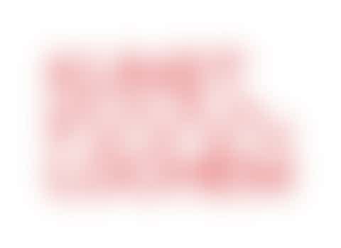 Penningmeester van het bestuur