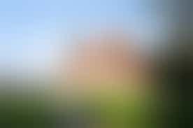 Voor Wilma (86) is het geloof (PKN) belangrijk, wil jij gesprekspartner zijn?