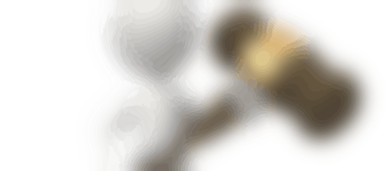 Voorzitter SV Dalfsen Handbal