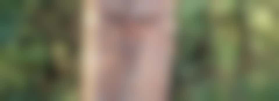 Well Being Wednesdays at Hallr Wood