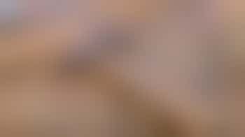 Klusteam op de Burgerboerderij