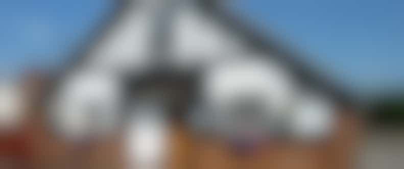 Hanging baskets and hedge volunteer