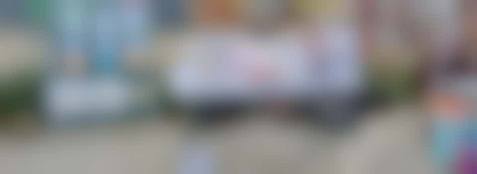 Sustainable Northstowe Committee Member