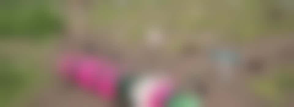 Schooltuin hulp gezocht!