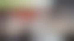 Bondsraadslid voor Noord-Brabant