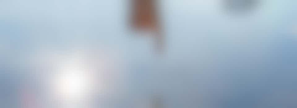 Non-Executive Director