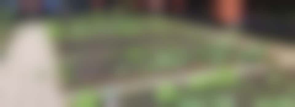 Volunteers Vegetable garden project UIT-WIJK