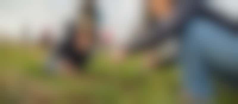 Woodland Creation Champion - Schools & Groups