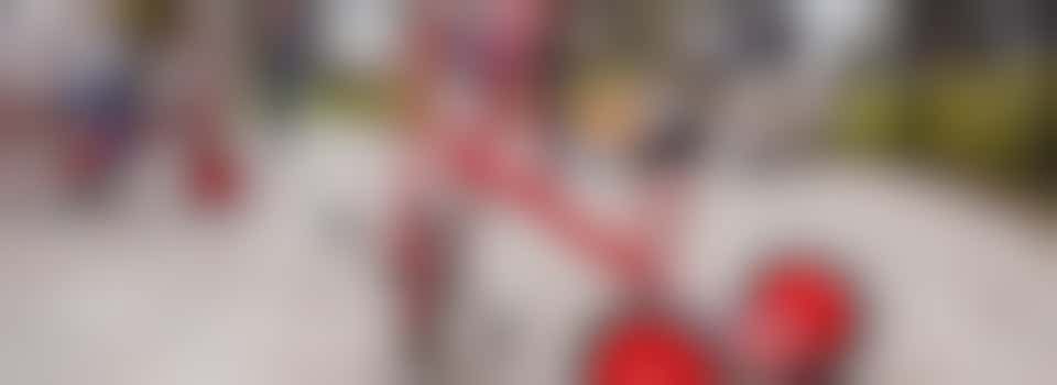 Tuinonderhoud | Ludiek (IKC Villa Linde)