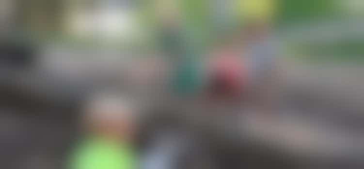 Tuinonderhoud | Ludiek (KC De Whee)