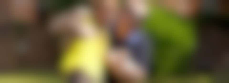 Brownie leader or helper