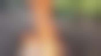 A fantastic challenge! Become a leader and guide children in their play