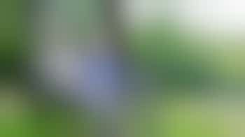 Vrijwilliger bij de Zonnebloem gemeentelijke afdeling Venlo (Groot Venlo)